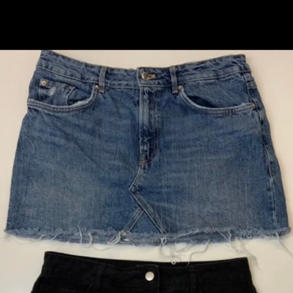Zara Skirt